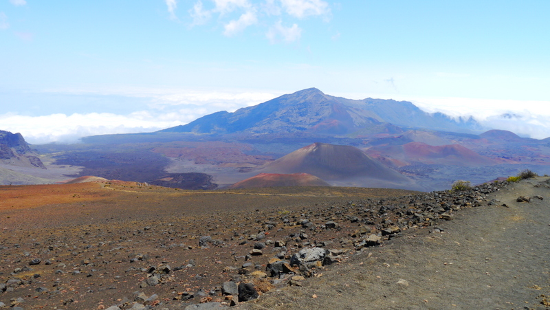 P1000664-001.JPG